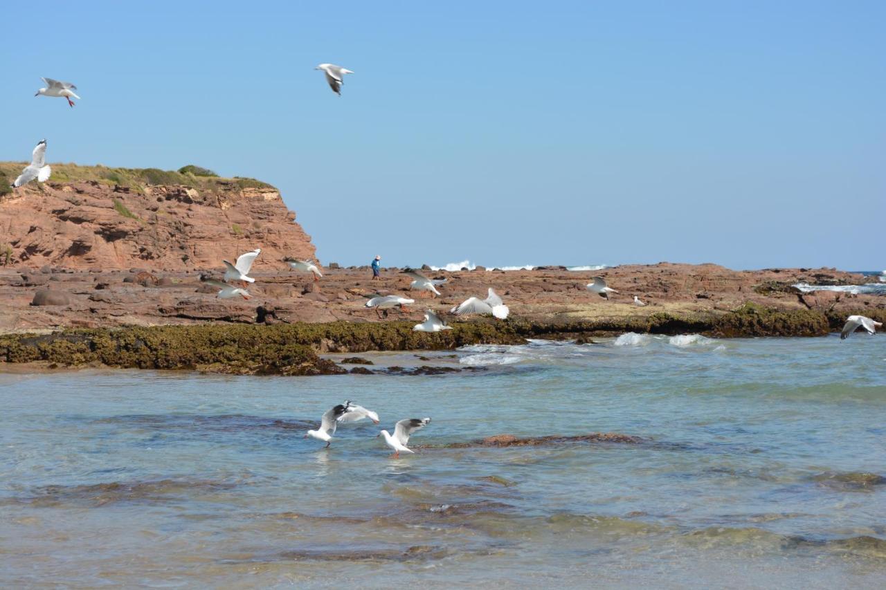 Warilla Sands Daire Lake Illawarra Dış mekan fotoğraf